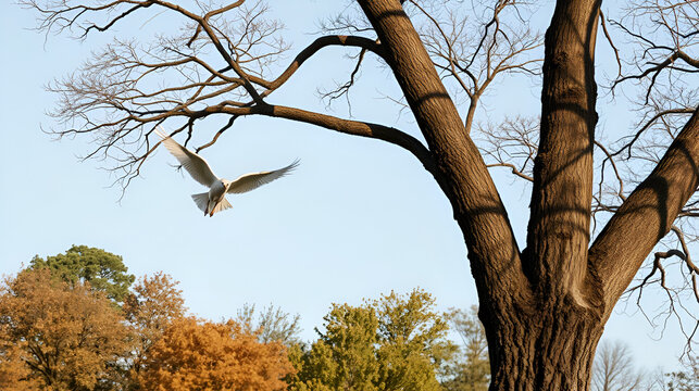 kyte flying away and landing on a tree