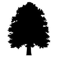 Full silhouette of a leafy tree isolated on a white background