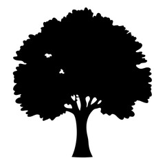 Monochrome silhouette of a flourishing deciduous tree against a white background