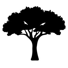 Silhouette of a majestic tree with intricate branches and abundant foliage