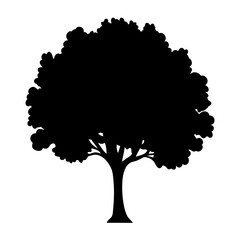 Silhouette of a large tree with many branches and abundant leaves.