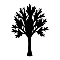 Silhouette of a deciduous tree with detailed branching and leaf structure