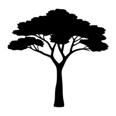 Silhouette of a Mature Tree with Broad Canopy and Distinct Branching Structure