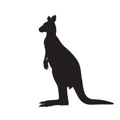 kangaroo silhouette vector illustration on white background 