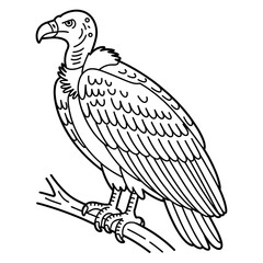 Fototapeta premium vulture cartoon isolated on white