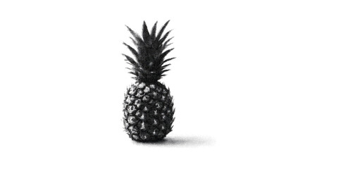 Obraz premium Pineapple Illustration In Halftone Style. Retro Fruit Art Isolated On Transparent Background