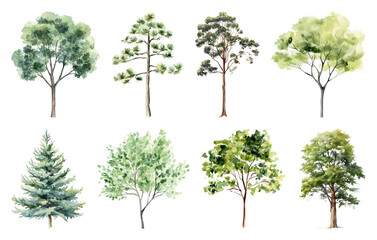 PNG Watercolor trees nature collection, element set on transparent background