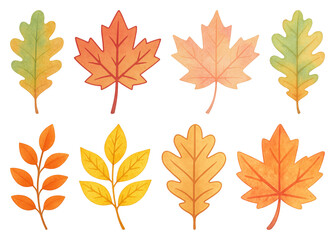 PNG Colorful autumn leaves illustration, element set on transparent background