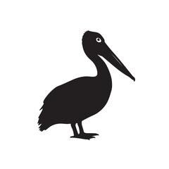 brown pelican isolated on white