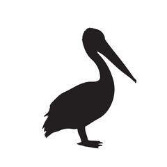 pelican vector on white background