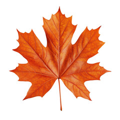 Syrup bottle in a distinct maple leaf shape filled with rich, Maple leaf-shaped syrup bottle filled with rich, amber syrup, showcasing its unique design and color, isolated on transparent background