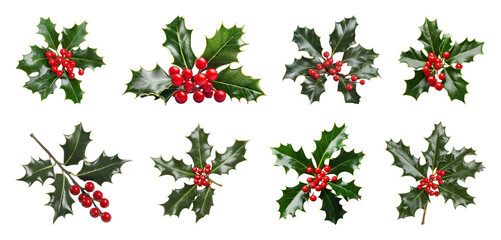PNG Festive holly leaves with berries, element set on transparent background