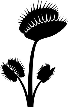 Striking silhouette of a Venus flytrap plant, showcasing its unique predatory leaves in a bold, graphic style.
