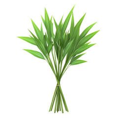 Obraz premium A Bundle of Long Green Leaves PNG