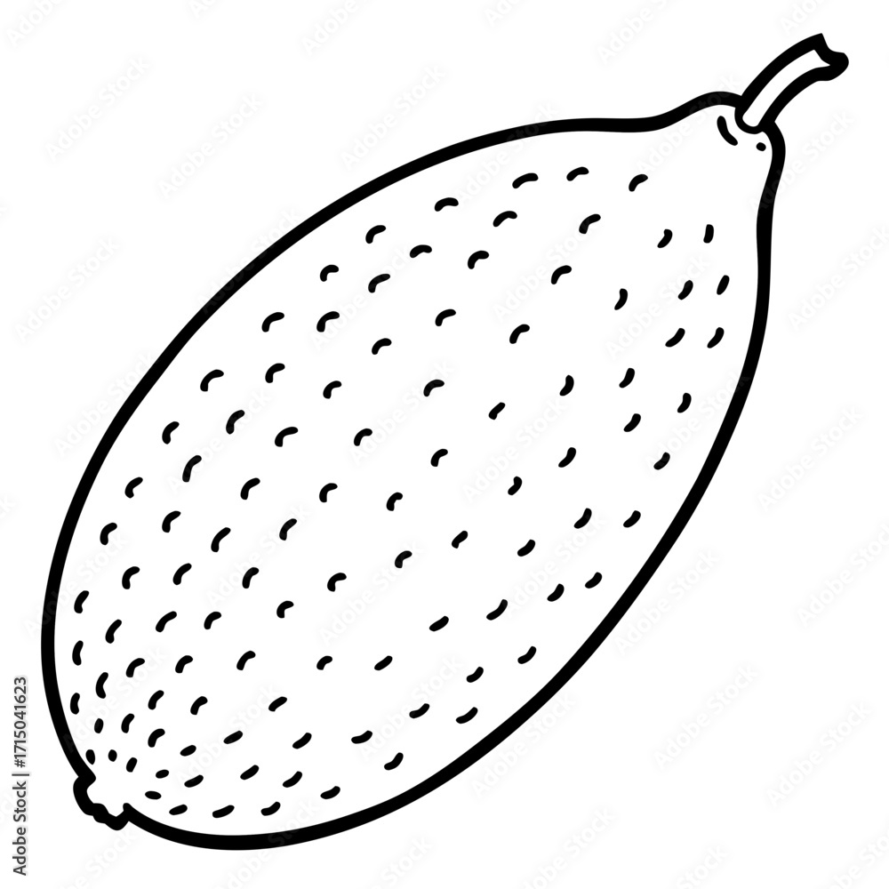 Poster a simple black and white line drawing of a cucumber with a textured skin isolated on white backgroun