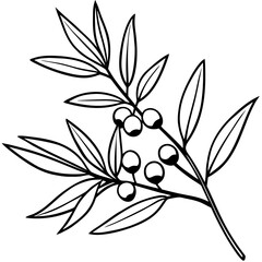A delicate black line art silhouette of an olive branch with berries isolated on white background