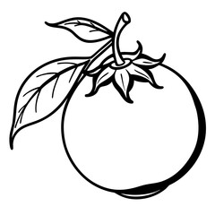 A simple black and white line drawing of a tomato with leaves and stem isolated on white background silhouette