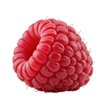 A single, perfectly ripe, vibrant ruby red raspberry with glistening dew droplets and detailed drupelets, extreme close-up, isolated on a transparent background. Concept of pristine natural beauty