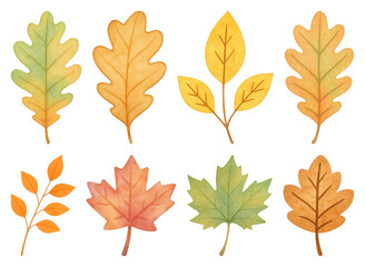 Fototapeta premium PNG Colorful autumn leaves illustration, element set on transparent background