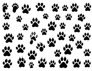 A repeating pattern of various sized animal paw prints in black silhouette against a plain white background.