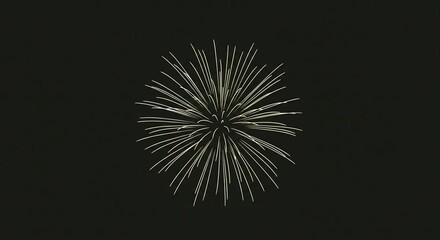 Obraz premium Fireworks Burst