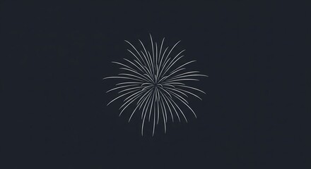 Fototapeta premium Fireworks Burst