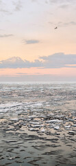 Peaceful scene of ice floes drifting in calm ocean waters with stunning sunset sky. Reflective water surface captures colorful clouds, evoking serenity and tranquility. Vertical photo