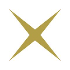 Star symbol. Golden star icon for designs.