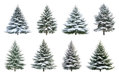 Obraz premium PNG Snow-covered evergreen trees collection, element set on transparent background