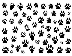 A collection of various animal paw prints in black silhouette against a pure white background.