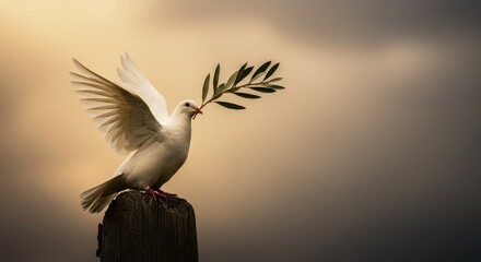 🕊️ Dove of Peace: A serene white dove, symbolizing peace and hope, gracefully perched with an olive branch against a dramatic sky. A timeless emblem of tranquility and harmony.