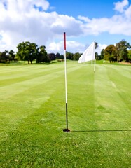 Obraz premium Golf course fairway with flagsticks