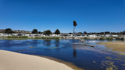  Pismo Beach, California.  Looking at the Pismo Beach Dunes and Pismo Creek with the coastal wetlands