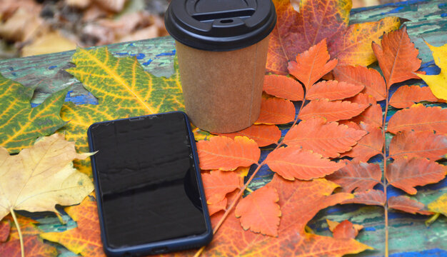 a disposable cup with a hot drink and a smartphone lie on beautiful autumn leaves on a bench in a city park. warming up with tea or coffee while walking in the fresh air - Powered by Adobe