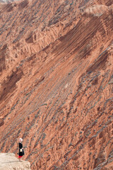 red rocks in the canyon