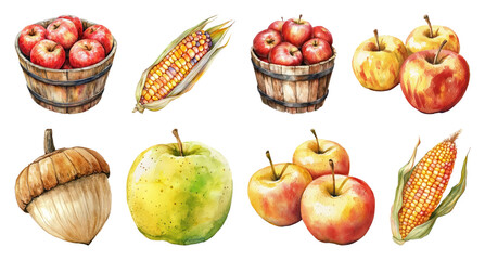 PNG Autumn harvest watercolor illustration, element set on transparent background