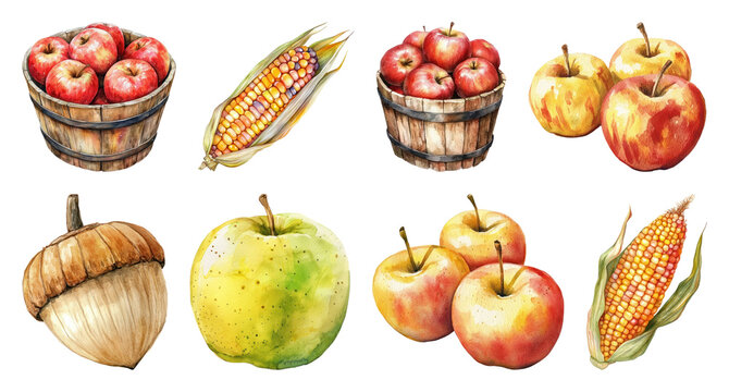 PNG Autumn harvest watercolor illustration, element set on transparent background - Powered by Adobe