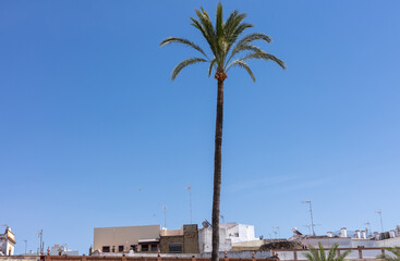 Fototapeta premium Marchena, Andalusia, Spain. 4 September 2025. View of narrow street leading to red and white clock tower