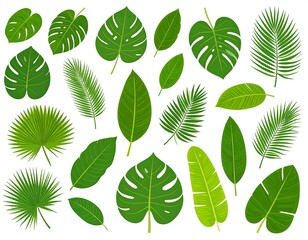 Vibrant collection of diverse tropical leaves displayed against a pristine white background.