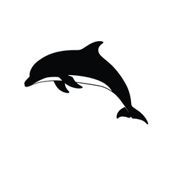 A leaping dolphin shape is captured in striking black silhouette