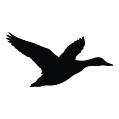 A dark bird in flight with wings outstretched a beautiful silhouette