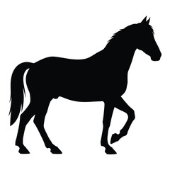 A striking black horse stands poised a beautiful form silhouette