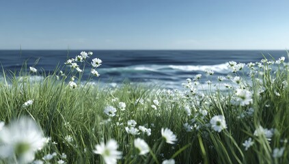 Ocean view, white flowers, coastal grass