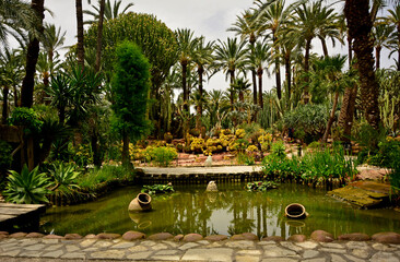 egzotyczny ogród ze stawem i wysokimi palmami, gaj palmowy w Elche, Botanical garden in Elche, Alicante, spain, Water pond and palm trees and cacti, Huerto Del Cura Botanical Garden Palm  © kateej