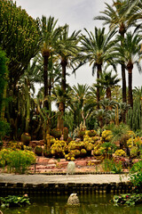 egzotyczny ogród ze stawem i wysokimi palmami, gaj palmowy w Elche, Botanical garden in Elche, Alicante, spain, Water pond and palm trees and cacti, Huerto Del Cura Botanical Garden Palm  © kateej