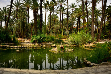 Egzotyczny Ogr Stawem Wysokimi Palmami