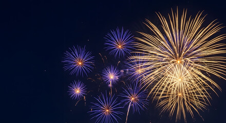 Purple and Golden Fireworks Bursting in Dark Night Sky.