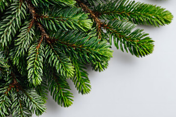 Christmas composition. Fir tree branches on white background. Christmas, winter, new year concept. Flat lay, top view, copy space