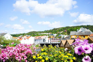 Colorful summer flowers with a scenic nordic town in the background.