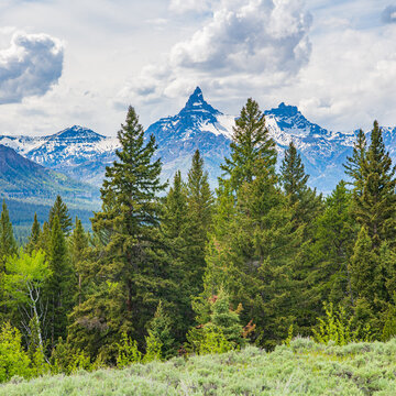 Landscape of Pilot Peak from the Beartooth Scenic Highway in the Absaroka Mountains in Wyoming, USA